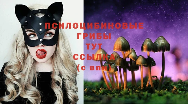 ALPHA PVP Киренск