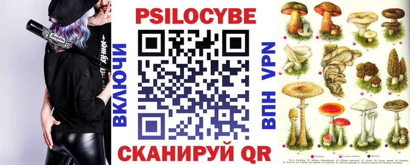 Купить закладки  Вязьма  Галлюциногенные грибы прущие грибы 